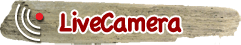 ���C�u�J����