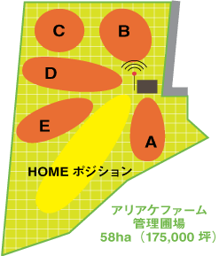 ライブカメラ